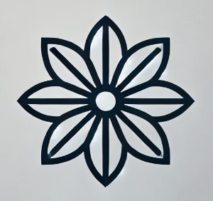 EVA Logo